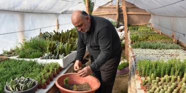 arkadasindan-etkilenerek-bu-ise-basladi-kucucuk-alanda-paraya-para-demiyor-kiLI9h2a.jpg