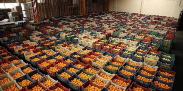 tonlarca-zehirli-mandalina-turkiyeye-gonderilmisti-bakan-yumakli-son-durumu-acikladi-8SYKlqis.jpg